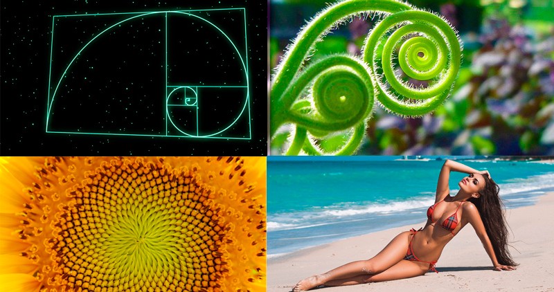 Fibonacci en la vida real